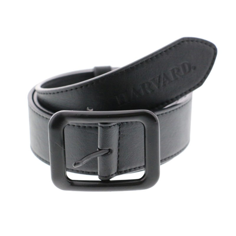 Ceinture noire Harvard